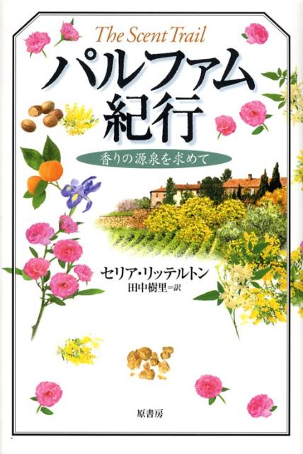 ����šۥѥ�ե��൪�� ���θ��������/����˼/���ꥢ����åƥ�ȥ��ñ���ܡ�