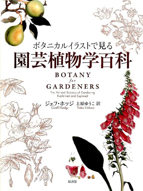 【中古】ボタニカルイラストで見る園芸植物学百科/原書房/ジェフ・ホッジ（単行本）