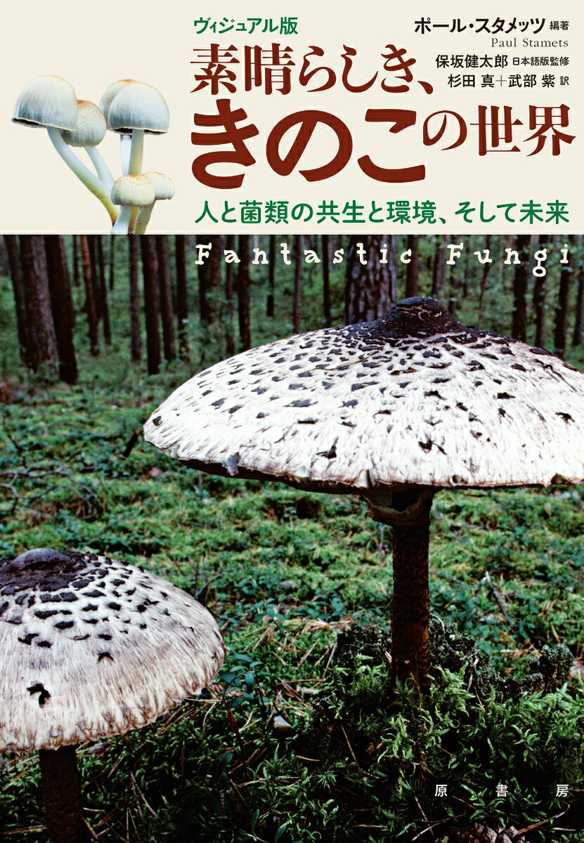 【中古】ヴィジュアル版素晴らしき、きのこの世界 人と菌類の共生と環境、そして未来/原書房/ポール・スタメッツ（単行本）