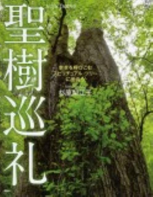 【中古】聖樹巡礼 幸せを呼びこむスピリチュアル・ツリ-に出会う/PHP研究所/杉原梨江子（単行本）