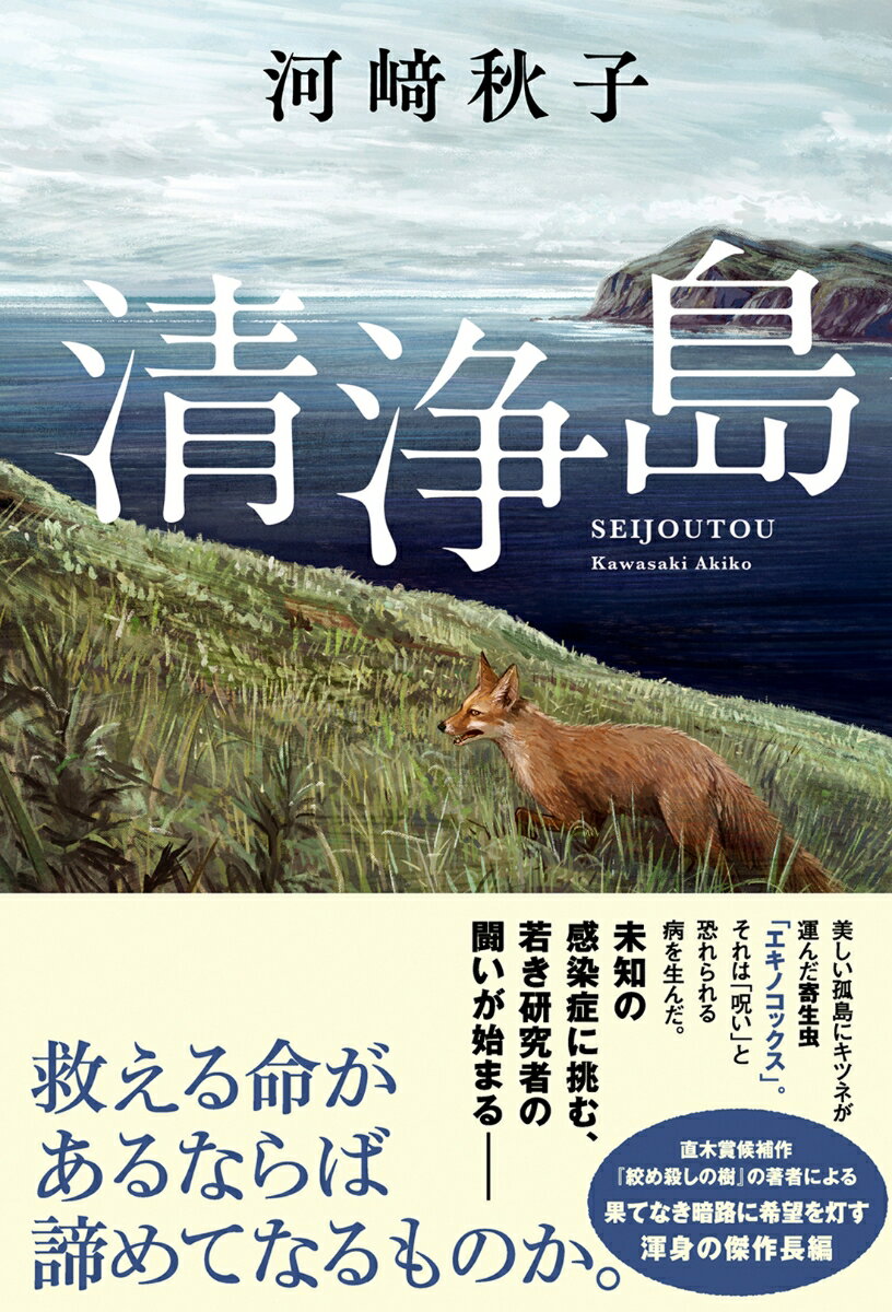 【中古】清浄島/双葉社/河〓秋子（単行本）