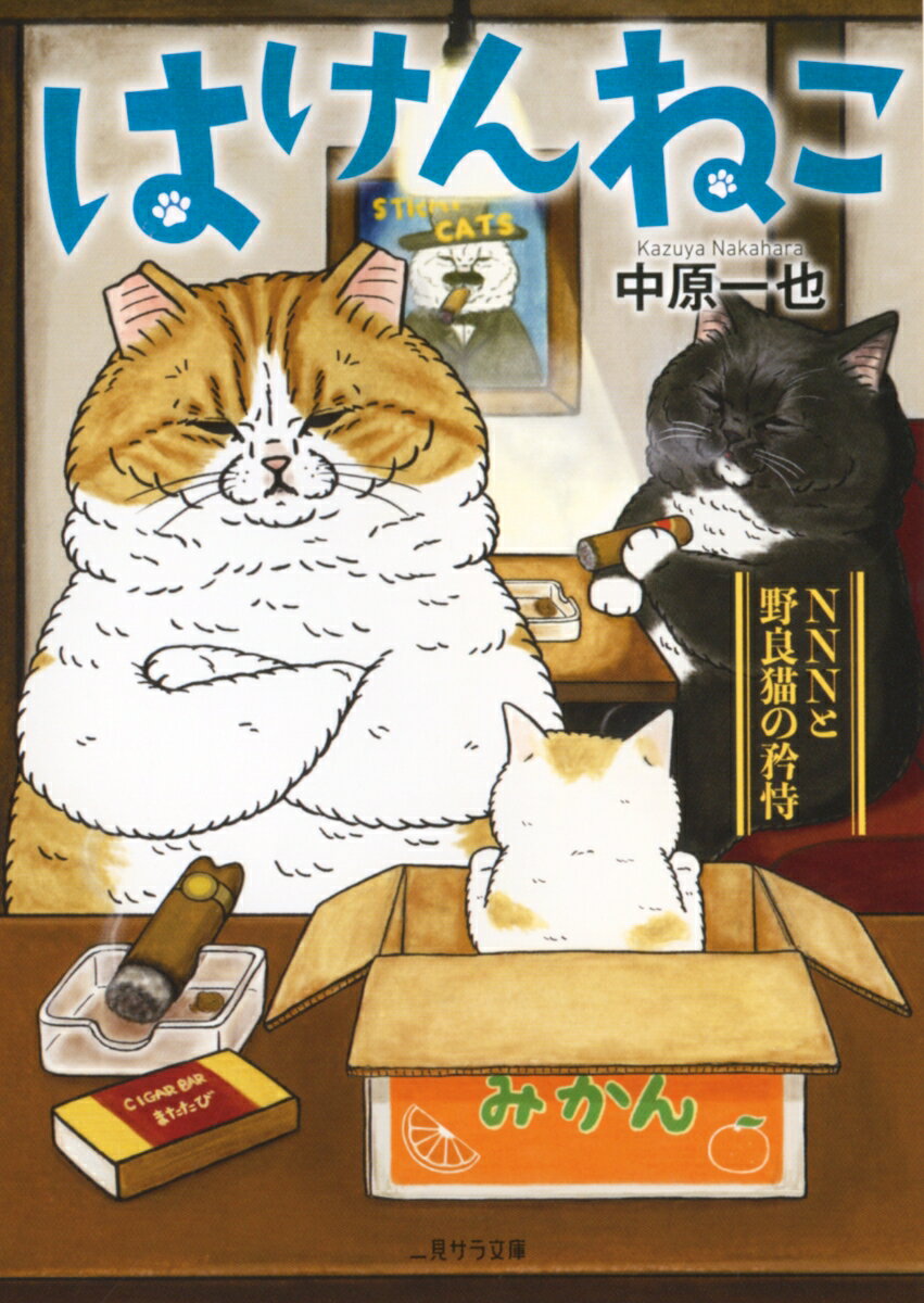 【中古】はけんねこ NNNと野良猫の矜恃/二見書房/中原一也（文庫）