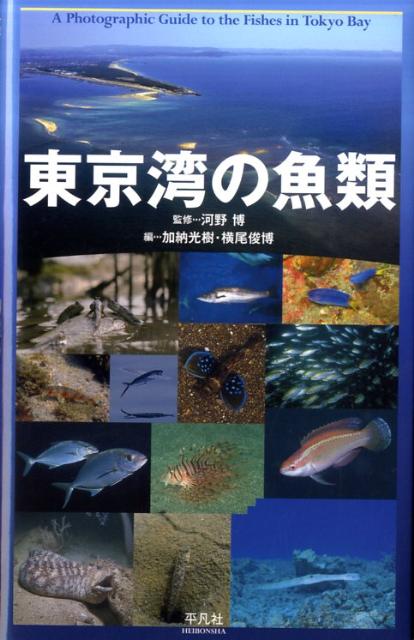 【中古】東京湾の魚類/平凡社/加納光樹（単行本（ソフトカバー））