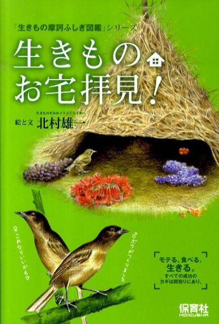 【中古】生きものお宅拝見！/保育社/北村雄一（単行本（ソフトカバー））