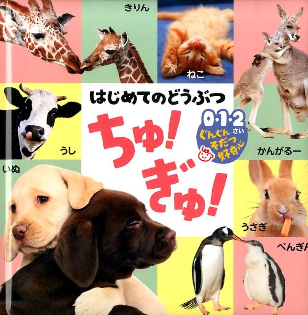【中古】はじめてのどうぶつのおやこ100 0・1・2さいぐんぐんそだつ好奇心 /ポプラ社/内山晟（単行本）