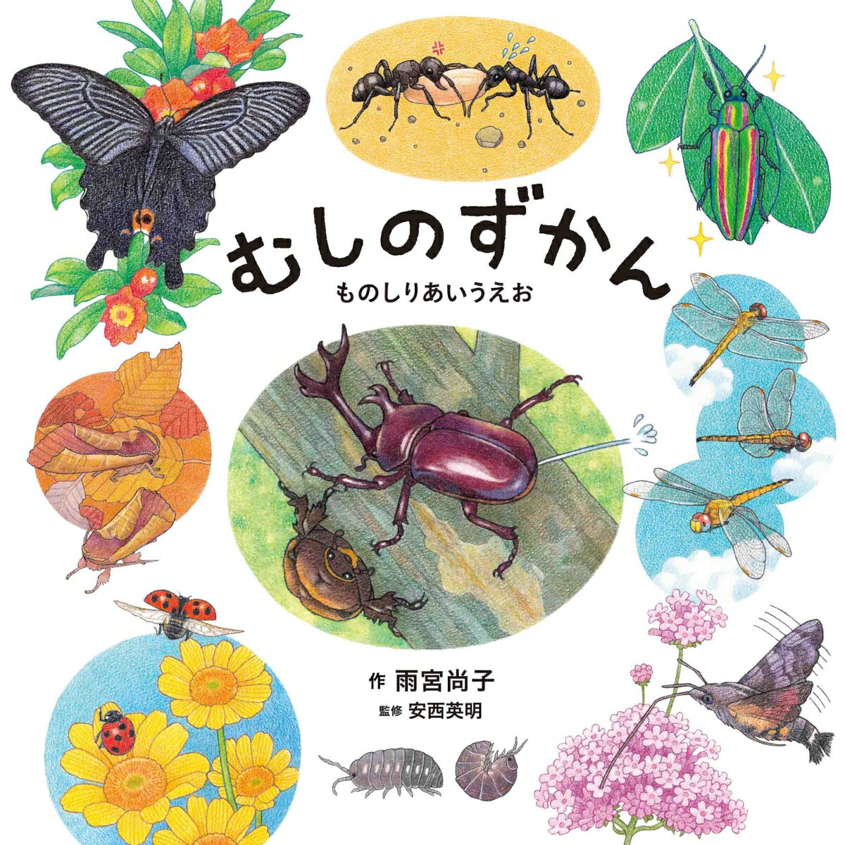 【中古】むしのずかん　ものしりあいうえお/白泉社/雨宮尚子（単行本）