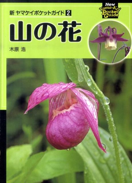 【中古】山の花/山と渓谷社/木原浩（文庫）