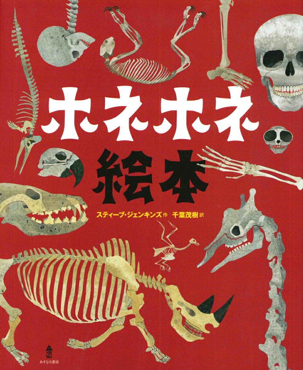 Picture-Book - 【中古】ホネホネ絵本/あすなろ書房/スティ-ブ・ジェンキンス（大型本）