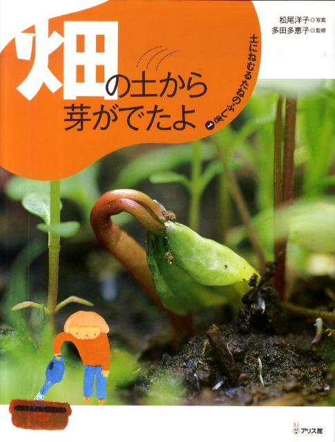 Picture-Book - 【中古】土にねむるたねのふしぎ 1/アリス館/まつおようこ（大型本）