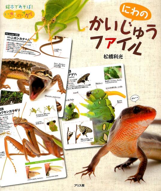 【中古】にわのかいじゅうファイル/アリス館/松橋利光（大型本）