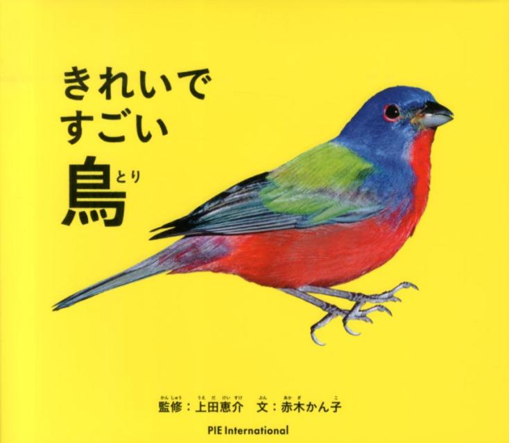 【中古】きれいですごい鳥/パイインタ-ナショナル/赤木かん子（単行本）