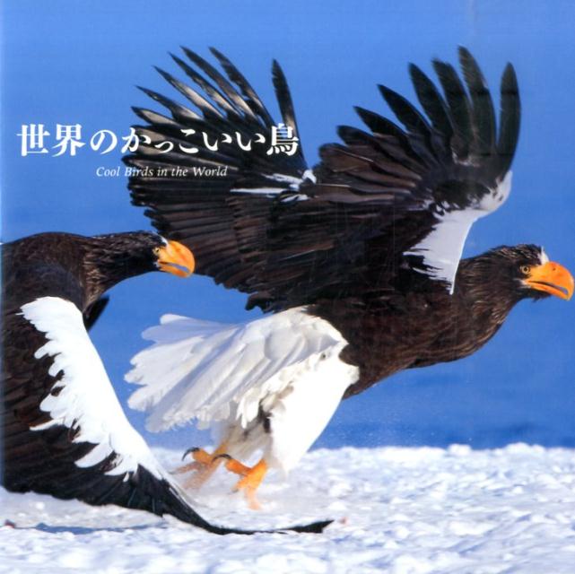 【中古】世界のかっこいい鳥/パイインタ-ナショナル/上田恵介（単行本（ソフトカバー））
