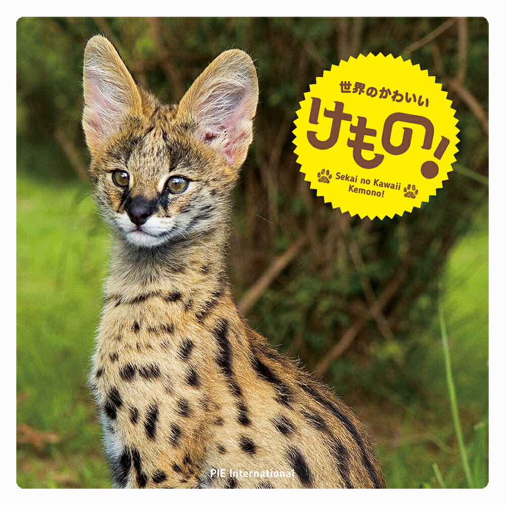 【中古】世界のかわいいけもの！/パイインタ-ナショナル/大渕希郷（単行本（ソフトカバー））