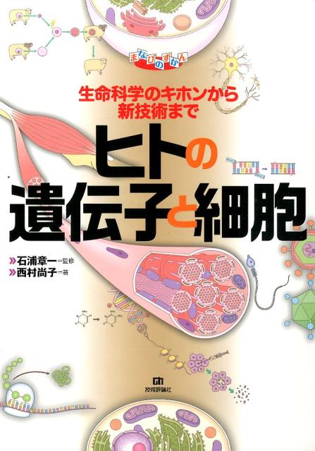 【中古】ヒトの遺伝子と細胞 生命科学のキホンから新技術まで/技術評論社/西村尚子（大型本）