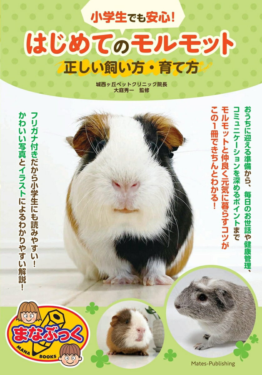【中古】小学生でも安心！はじめてのモルモット正しい飼い方・育て方/メイツユニバ-サルコンテンツ/大庭秀一（単行本（ソフトカバー））