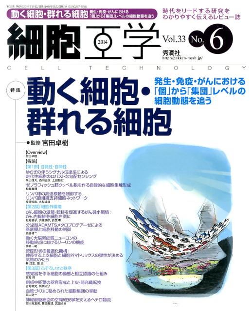 【中古】細胞工学 14年6月号 33-6/学研メディカル秀潤社（大型本）
