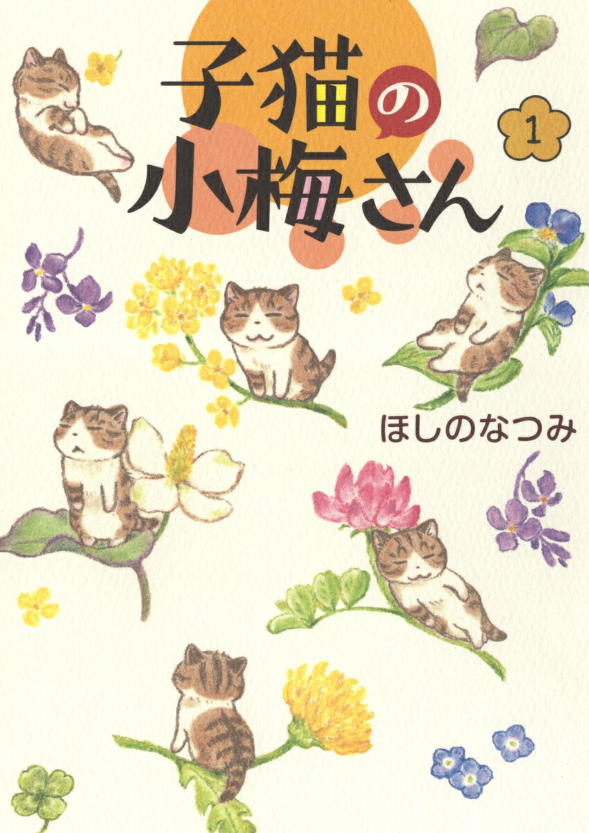 【中古】子猫の小梅さん 1/少年画報社/ほしのなつみ（コミック）