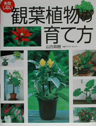 【中古】失敗しない観葉植物の育て方/西東社/山方政樹（単行本）