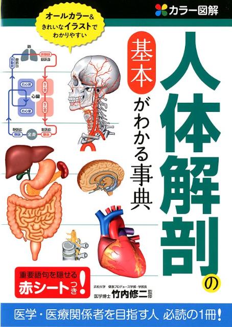 【中古】カラ-図解人体解剖の基本がわかる事典/西東社/竹内修二（単行本）