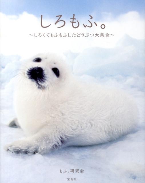 【中古】しろもふ。 しろくてもふもふしたどうぶつ大集合/宝島社/もふ。研究会（単行本）
