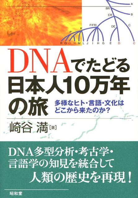 【中古】DNAでたどる日本人10万年の旅 多様なヒト・言語・文化はどこから来たのか？/昭和堂（京都）/崎谷満（単行本）