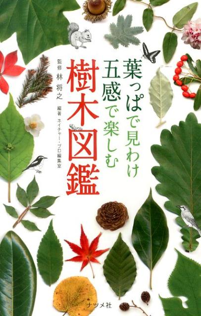 【中古】葉っぱで見わけ五感で楽しむ樹木図鑑/ナツメ社/ネイチャ-・プロ編集室（単行本）