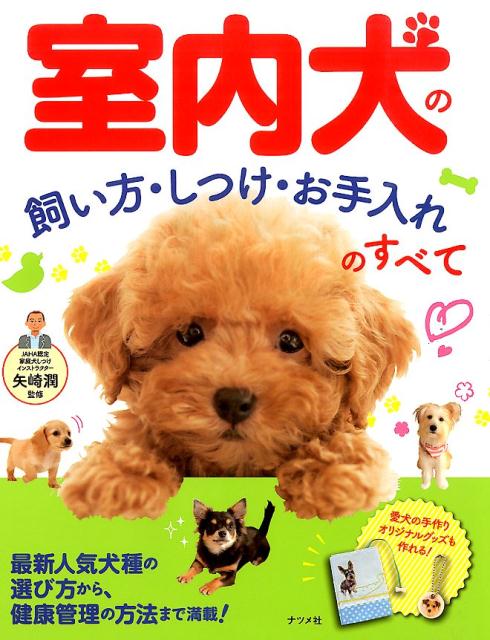 【中古】室内犬の飼い方・しつけ・お手入れのすべて/ナツメ社/矢崎潤（単行本）