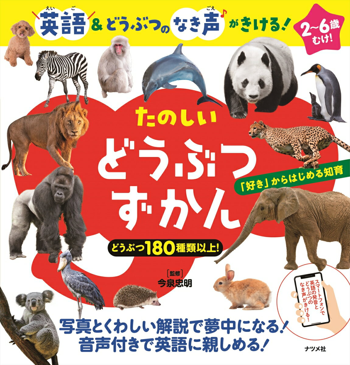 【中古】たのしいどうぶつずかん 英語＆どうぶつのなき音がきける！/ナツメ社/今泉忠明（大型本）