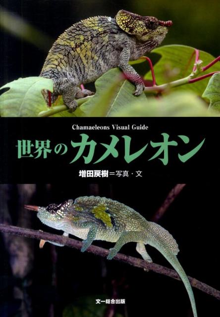 【中古】世界のカメレオン/文一総合出版/増田戻樹（単行本）