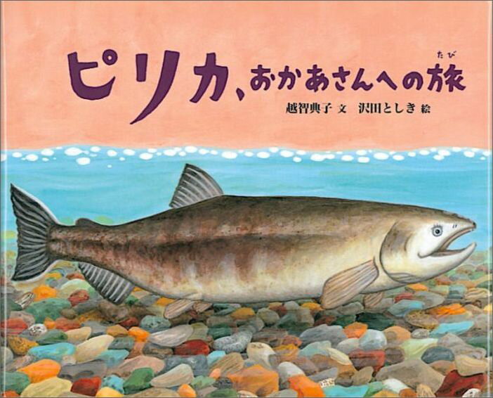 【中古】ピリカ おかあさんへの旅/福音館書店/越智典子（単行本）