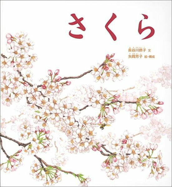 【中古】さくら/福音館書店/長谷川摂子（単行本）