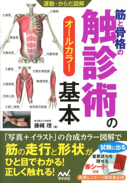 楽天市場】筋骨格系の触診マニュアル トリガーポイントの通販