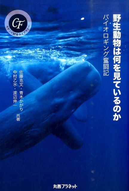 【中古】野生動物は何を見ているのか バイオロギング奮闘記/丸善プラネット/佐藤克文（単行本）