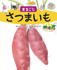 【中古】まるごとさつまいも/絵本塾出版/八田尚子（単行本）