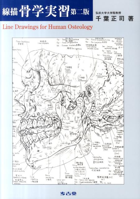 【中古】線描骨学実習 第2版/考古堂書店/千葉正司（大型本）