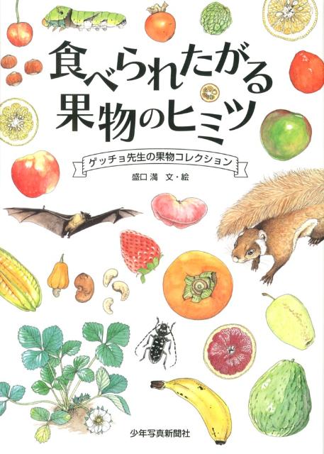 【中古】食べられたがる果物のヒミツ ゲッチョ先生の果物コレクション/少年写真新聞社/盛口満（大型本）