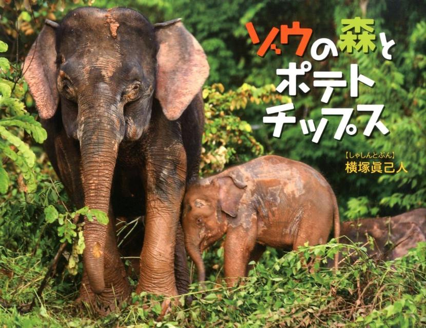 【中古】ゾウの森とポテトチップス/そうえん社/横塚真己人（ハードカバー）