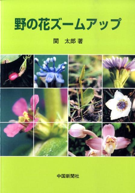 【中古】野の花ズ-ムアップ/中国新聞社/関太郎（単行本）