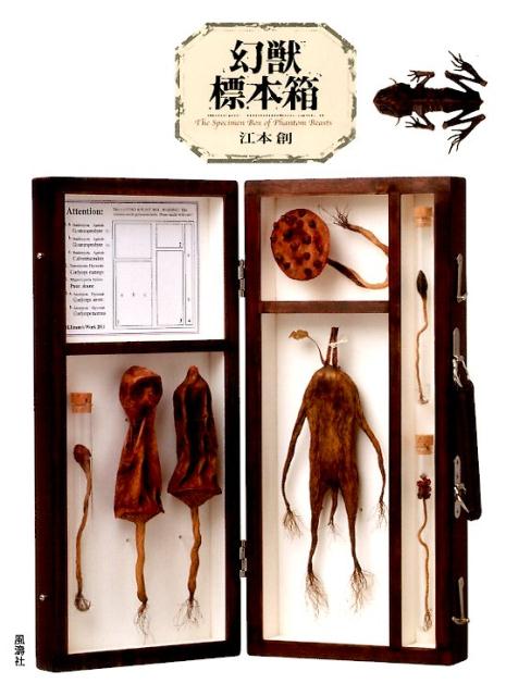 【中古】幻獣標本箱 新装版/風濤社/江本創（単行本（ソフトカバー））