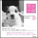 【中古】犬の十戒/ジュリアン（単行本）