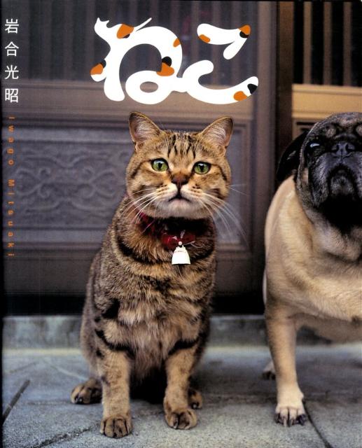 【中古】ねこ/クレヴィス/岩合光昭（単行本（ソフトカバー））