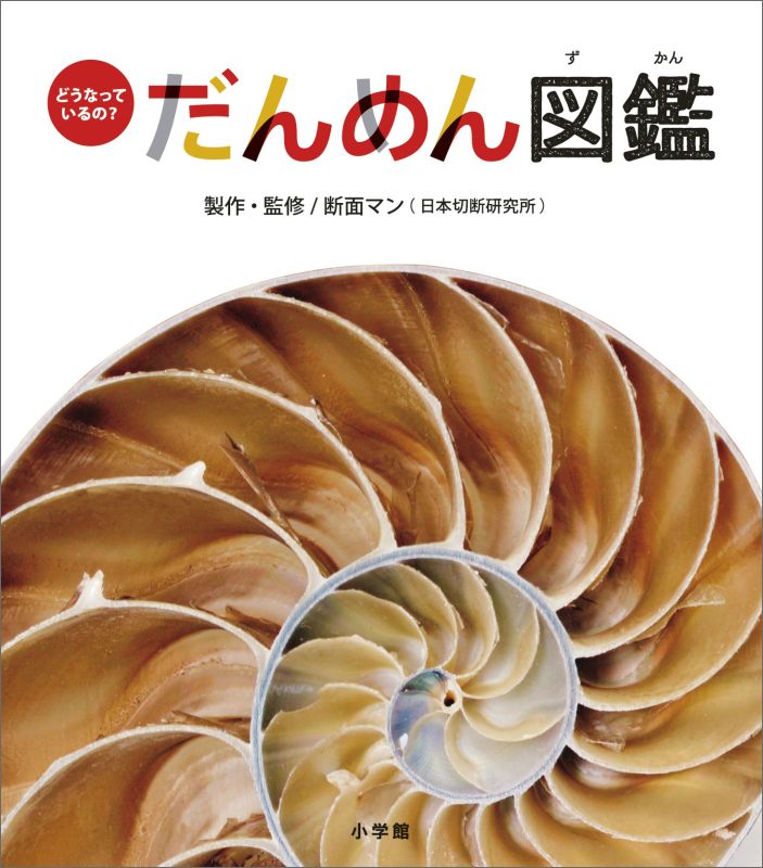 【中古】どうなっているの？だんめん図鑑/小学館/断面マン（単行本）