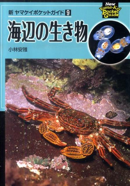 【中古】海辺の生き物/山と渓谷社/小林安雅（単行本（ソフトカバー））