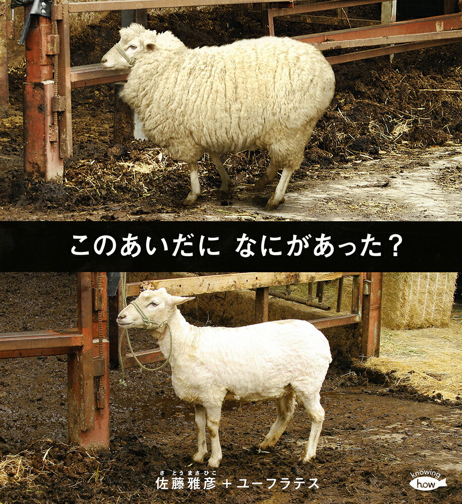 【中古】このあいだになにがあった？/福音館書店/佐藤雅彦（単行本）