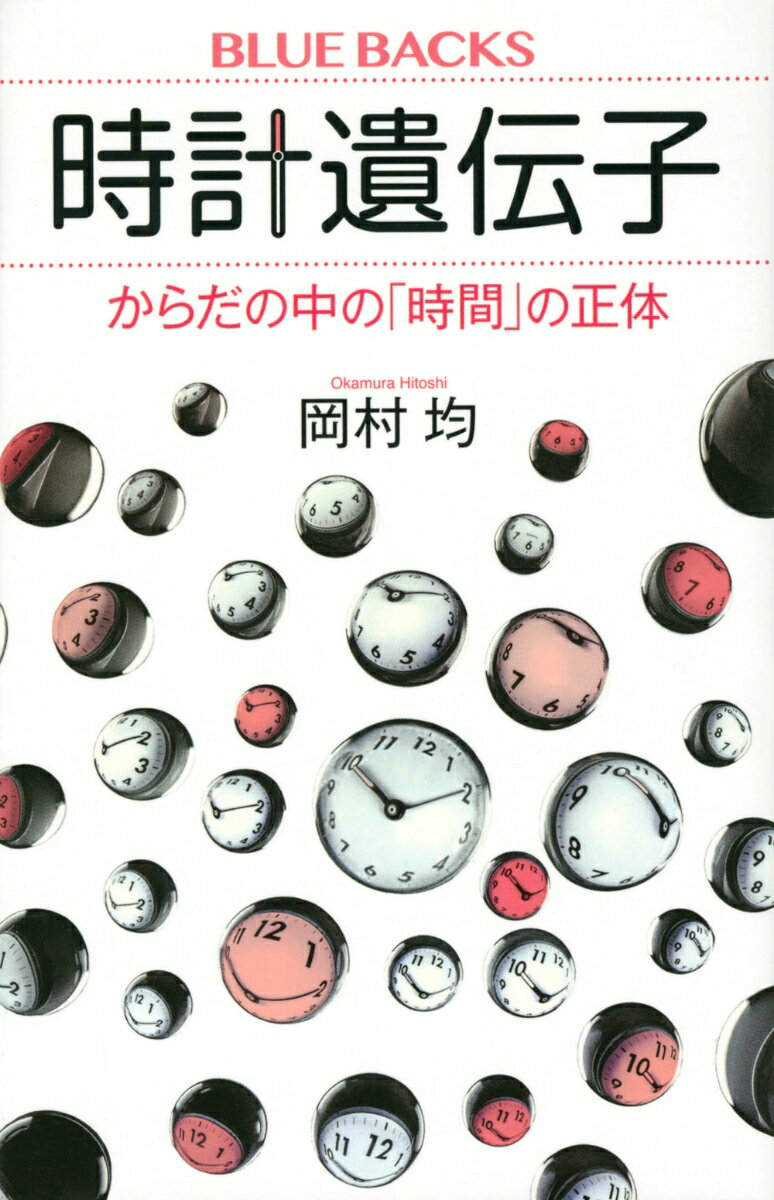 【中古】時計遺伝子　からだの中の「時間」の正体/講談社/岡村均（新書）