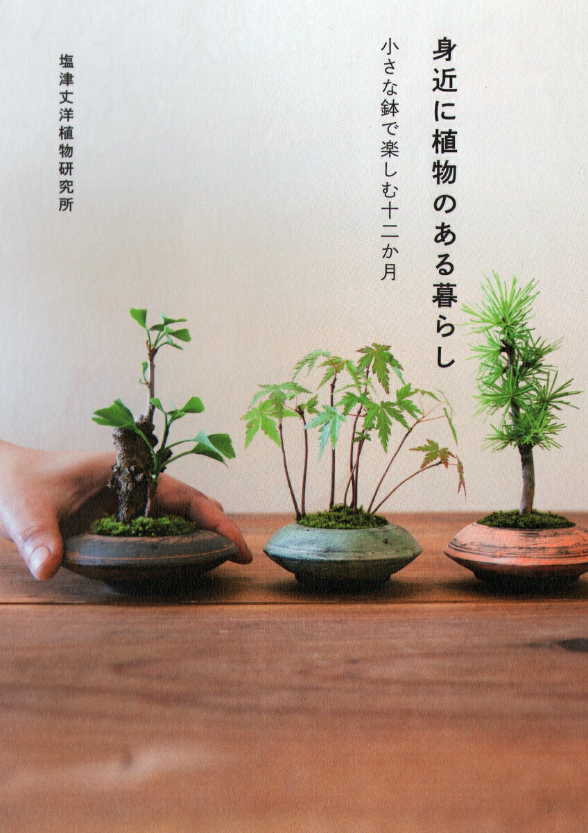 【中古】身近に植物のある暮らし 小さな鉢で楽しむ十二か月/自由国民社/塩津丈洋植物研究所（単行本（ソフトカバー））
