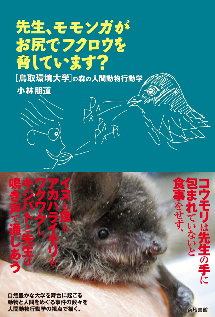 【中古】先生、モモンガがお尻でフクロウを脅しています？ 鳥取環境大学の森の人間動物行動学/築地書館..