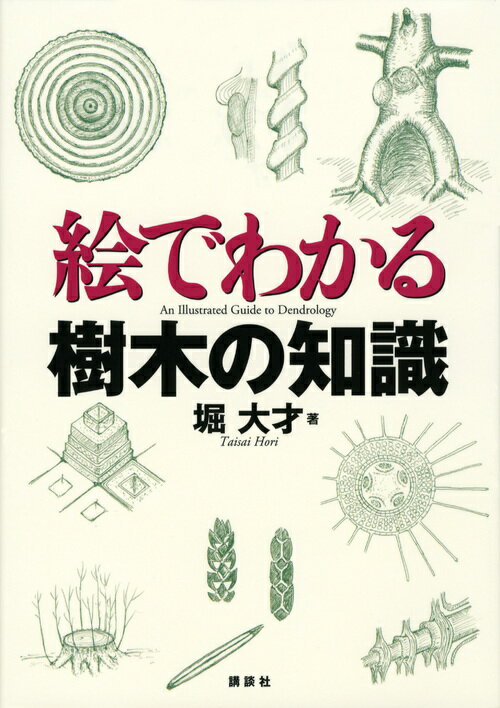 【中古】絵でわかる樹木の知識/講談社/堀大才（単行本（ソフトカバー））