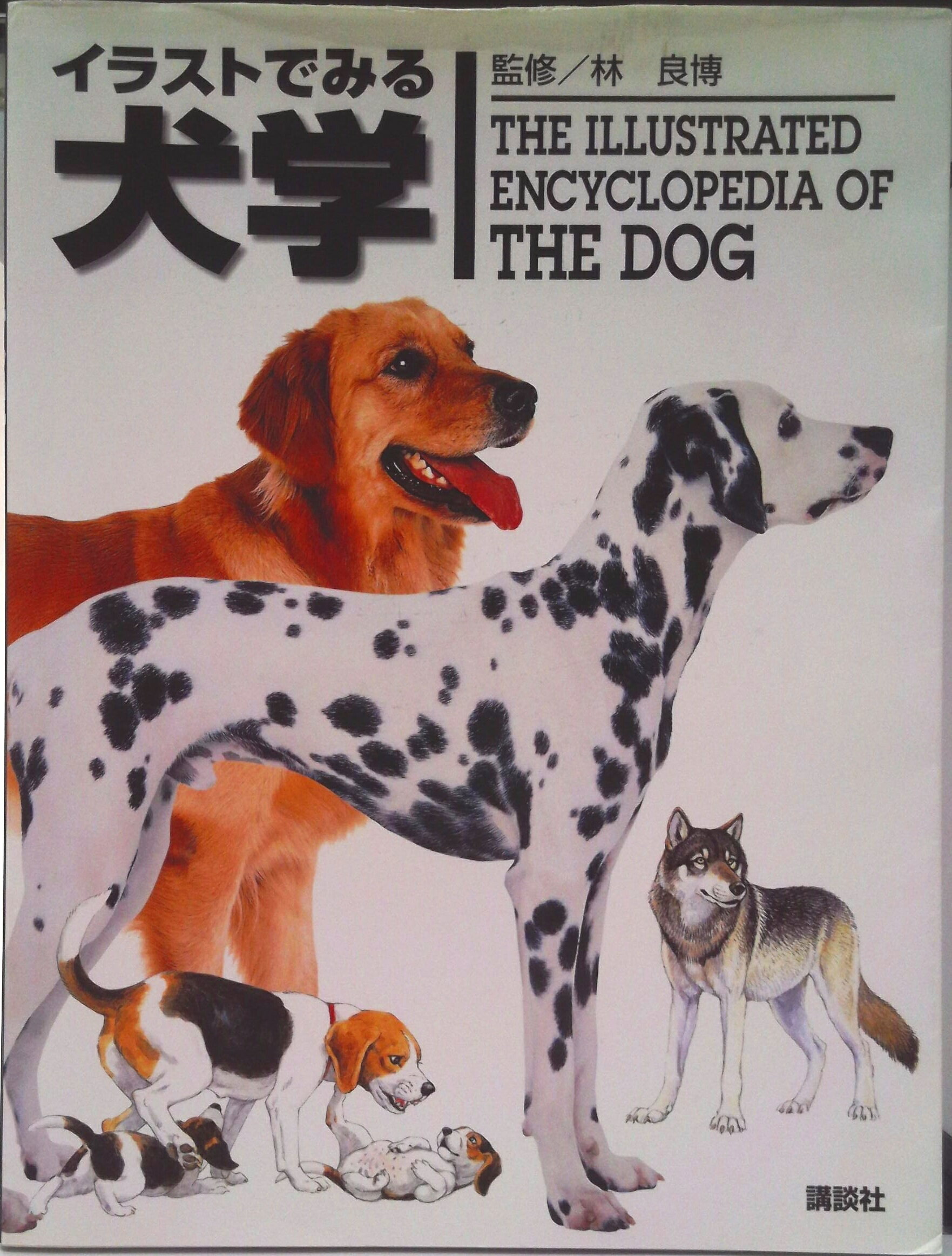 【中古】イラストでみる犬学/講談社/太田光明（単行本（ソフトカバー））