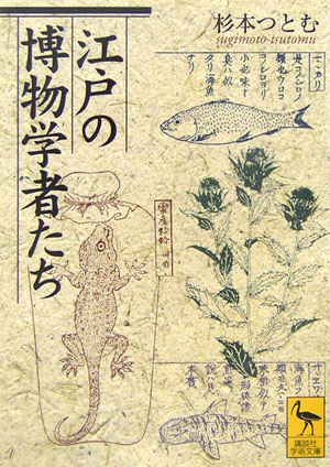 【中古】江戸の博物学者たち/講談社/杉本つとむ（文庫）